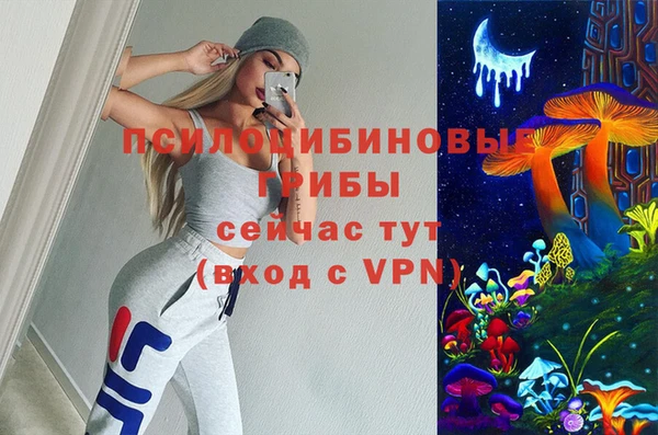 прущие крисы Красноперекопск