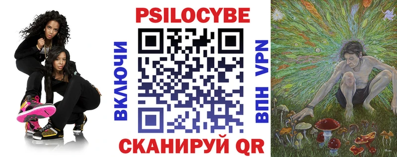 магазин    ОМГ ОМГ сайт  Псилоцибиновые грибы Psilocybe  Куровское 